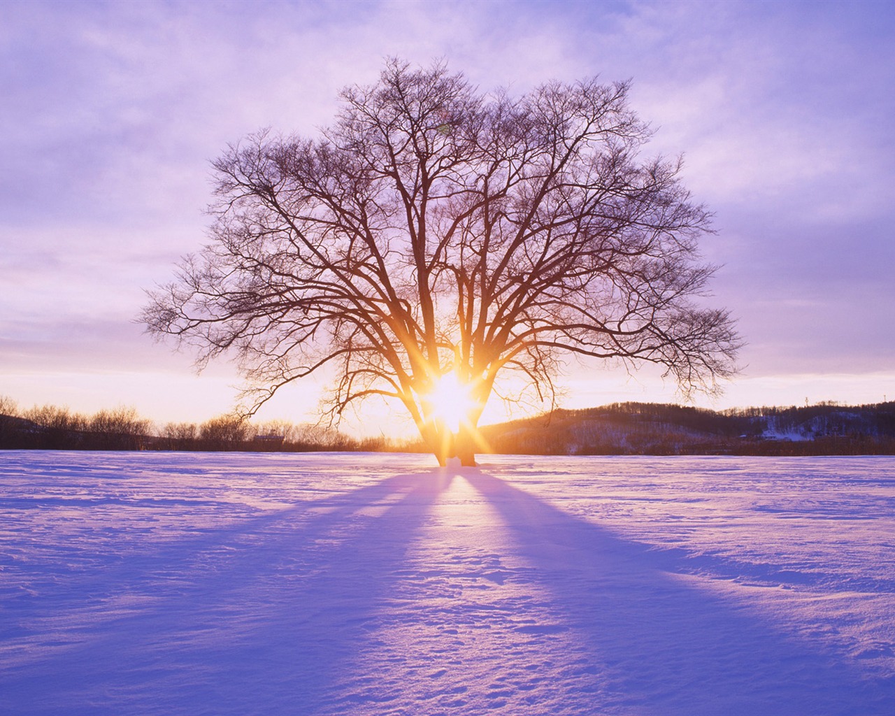 Scenery Collection Wallpapers (63) #7 - 1280x1024