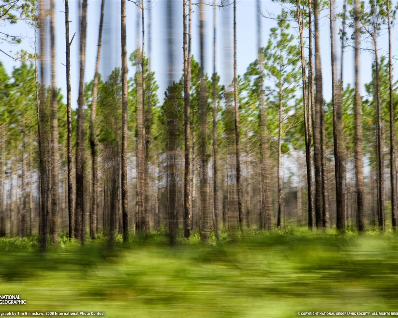 Wallpaper World geographical scenery Posts (7) #5 - 1280x1024