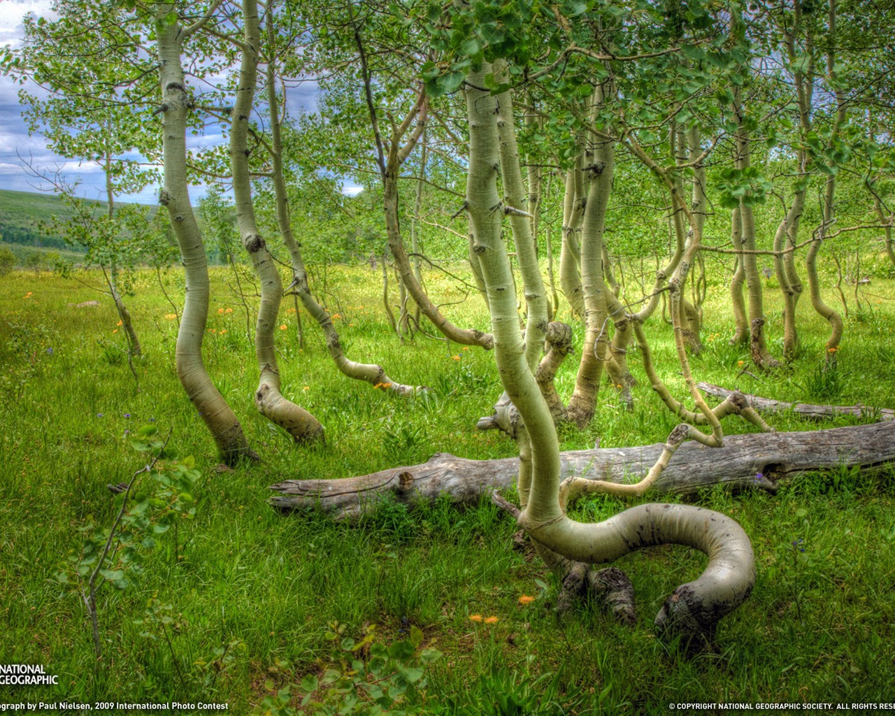 Wallpaper World geographical scenery Posts (8) #19 - 1280x1024