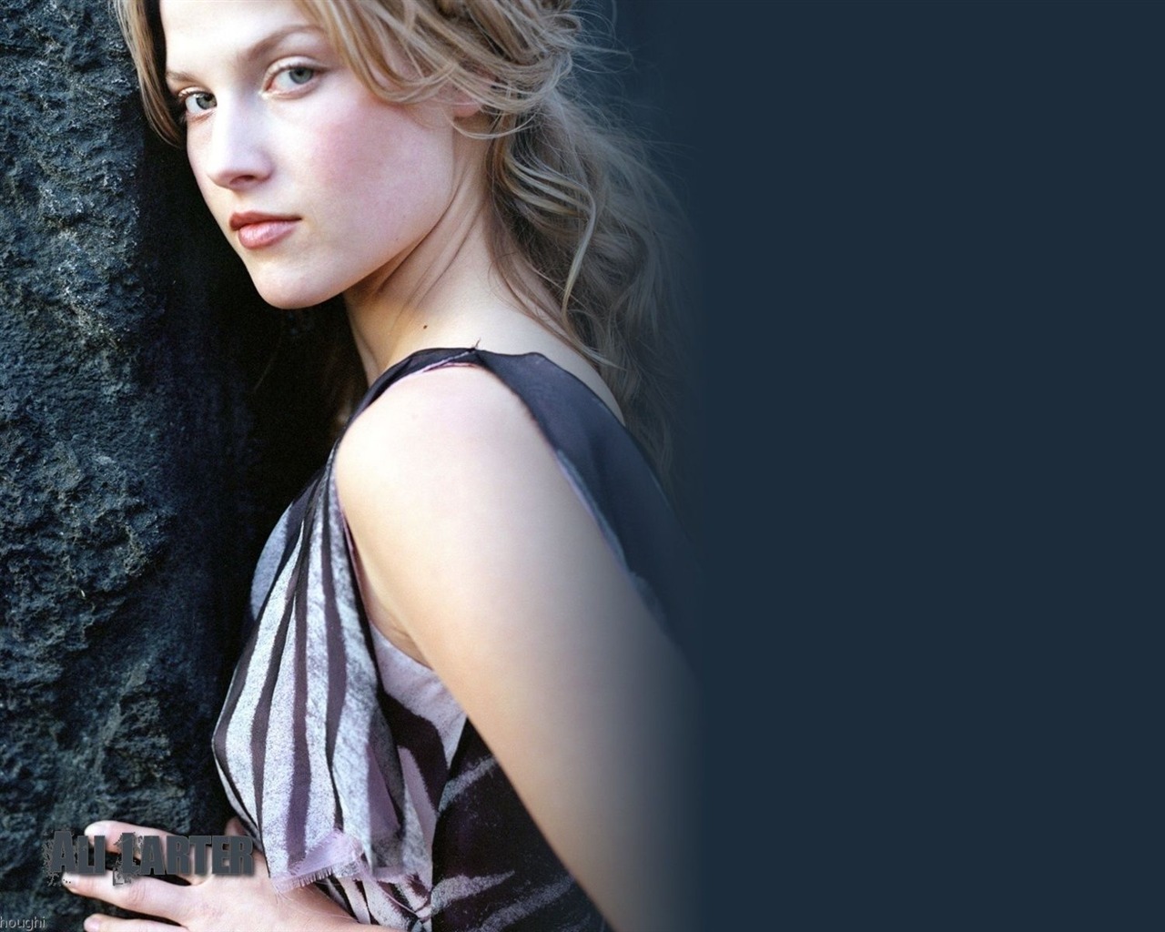 Ali Larter 艾丽·拉特 美女壁纸1 - 1280x1024