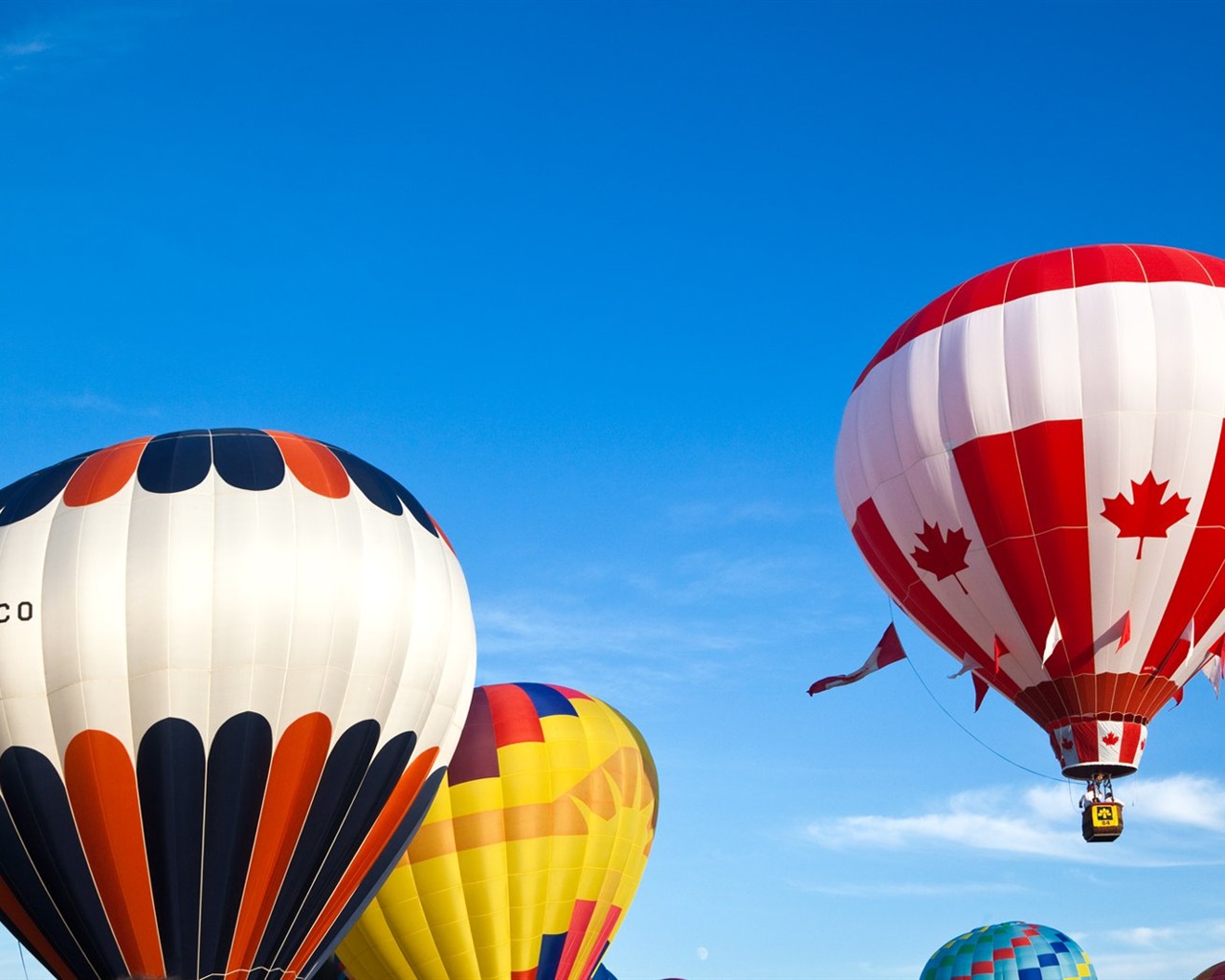 Colorful hot air balloons wallpaper (1) #8 - 1280x1024