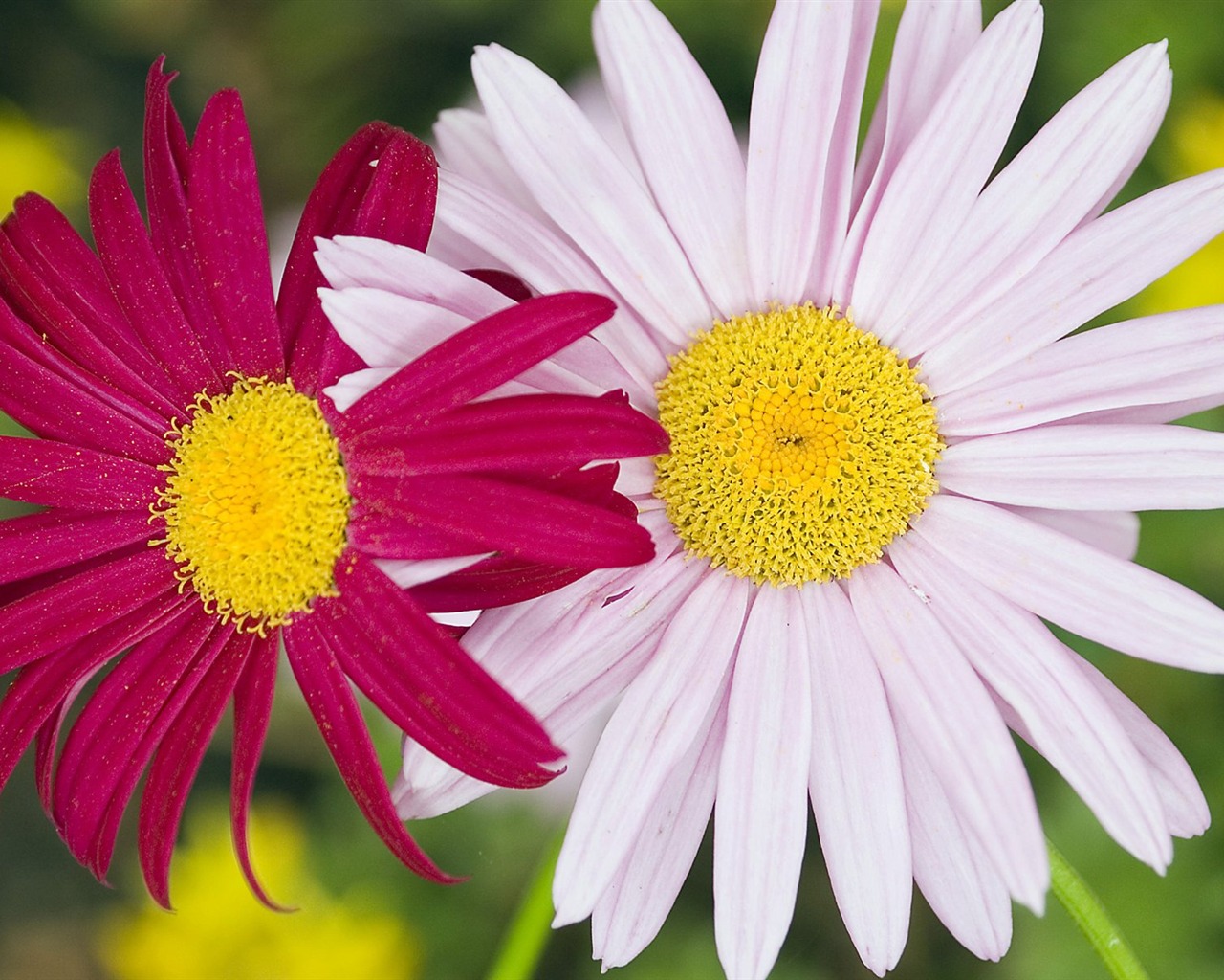 Pairs of flowers and green leaves wallpaper (2) #6 - 1280x1024