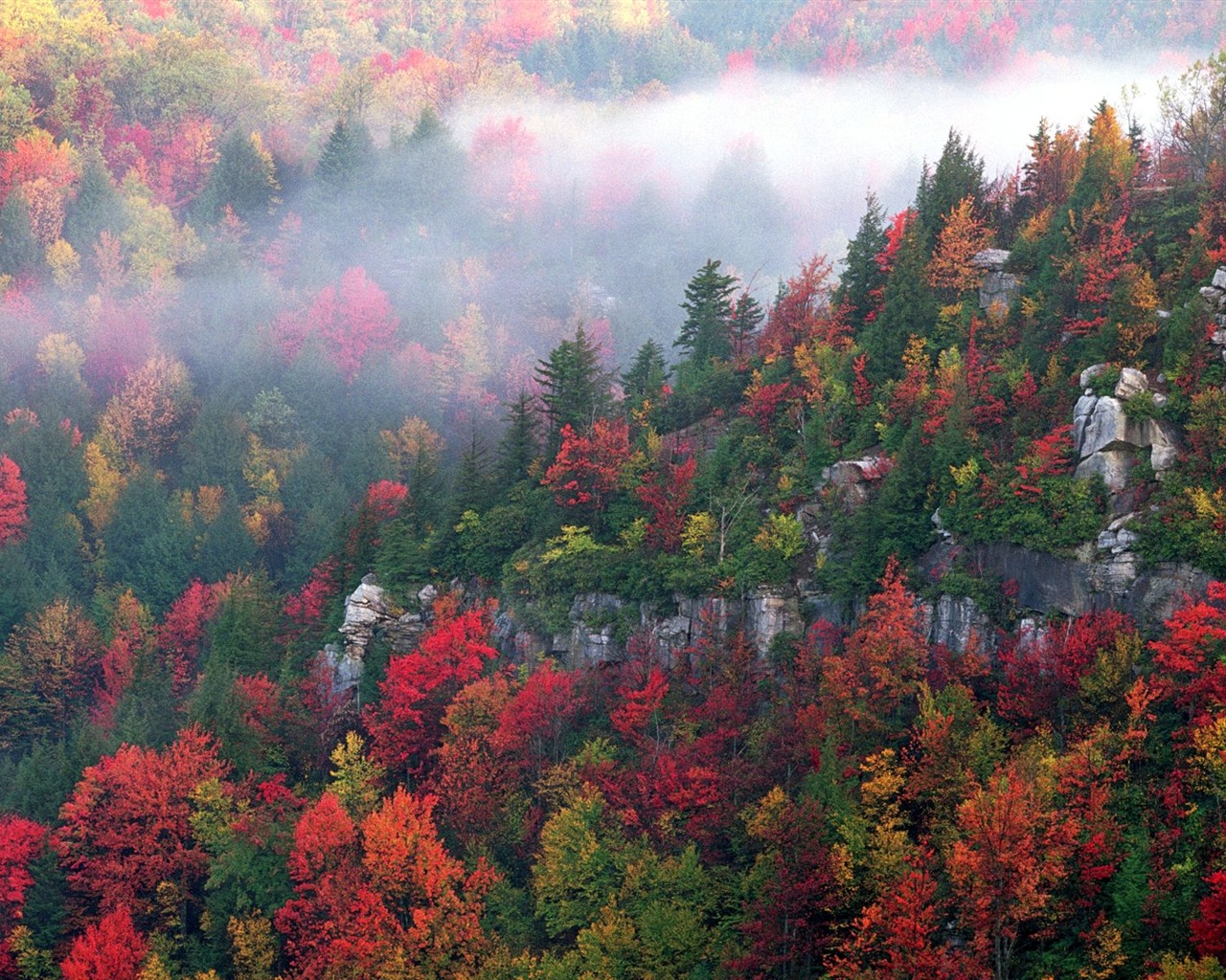 Tapety Krajina Kolekce (64) #7 - 1280x1024