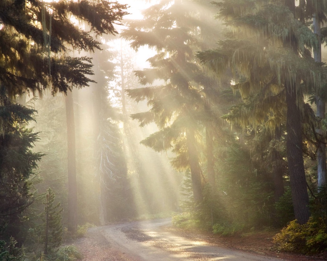 Scenery Collection Wallpapers (65) #9 - 1280x1024