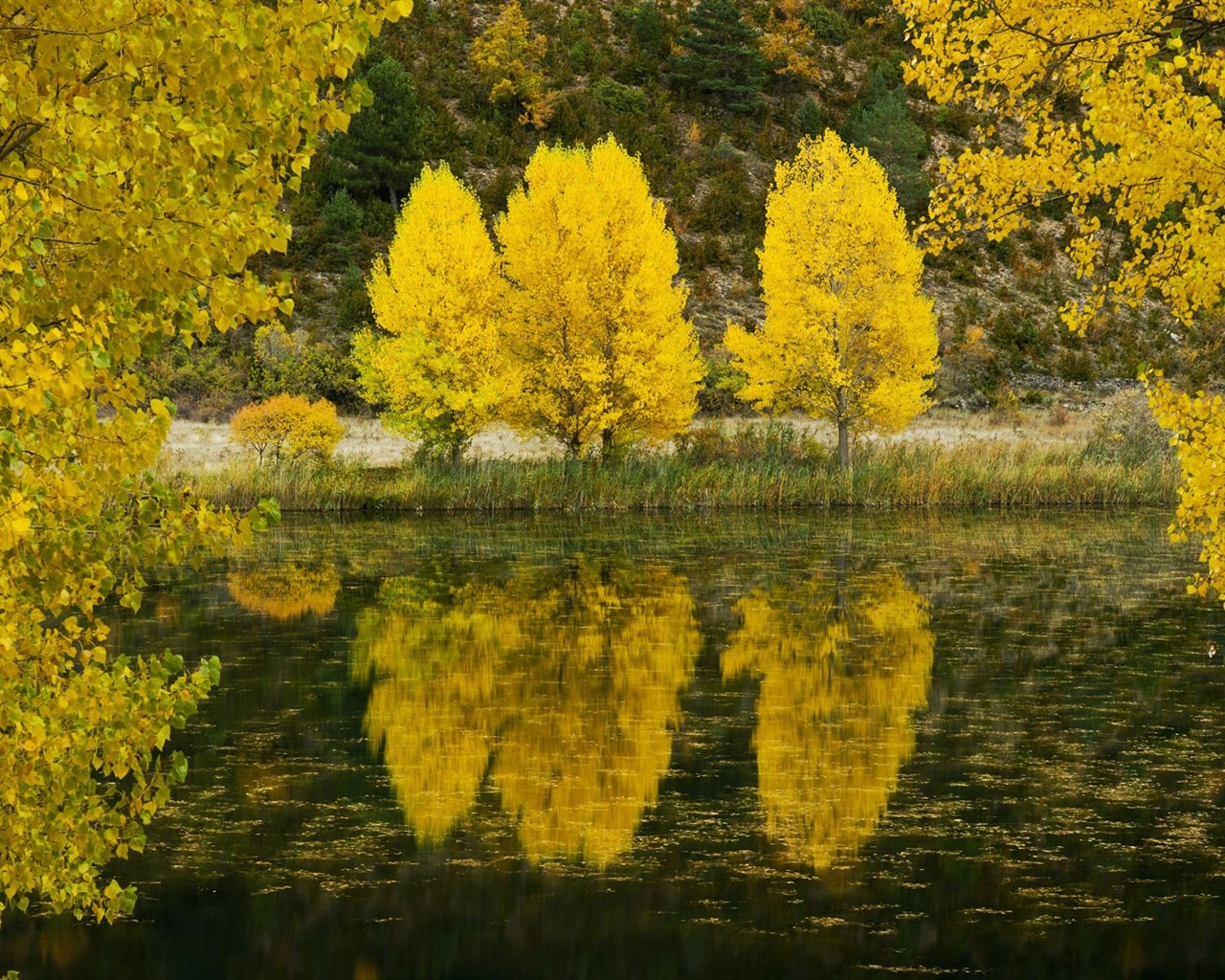 Tapety Krajina Kolekce (65) #17 - 1280x1024
