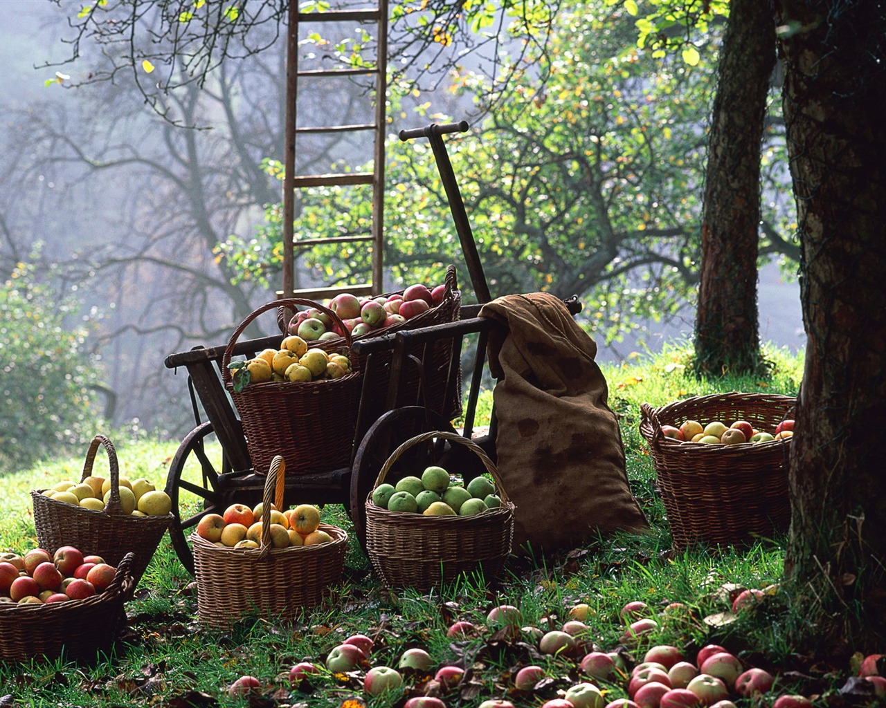 Autumn harvest wallpaper #10 - 1280x1024