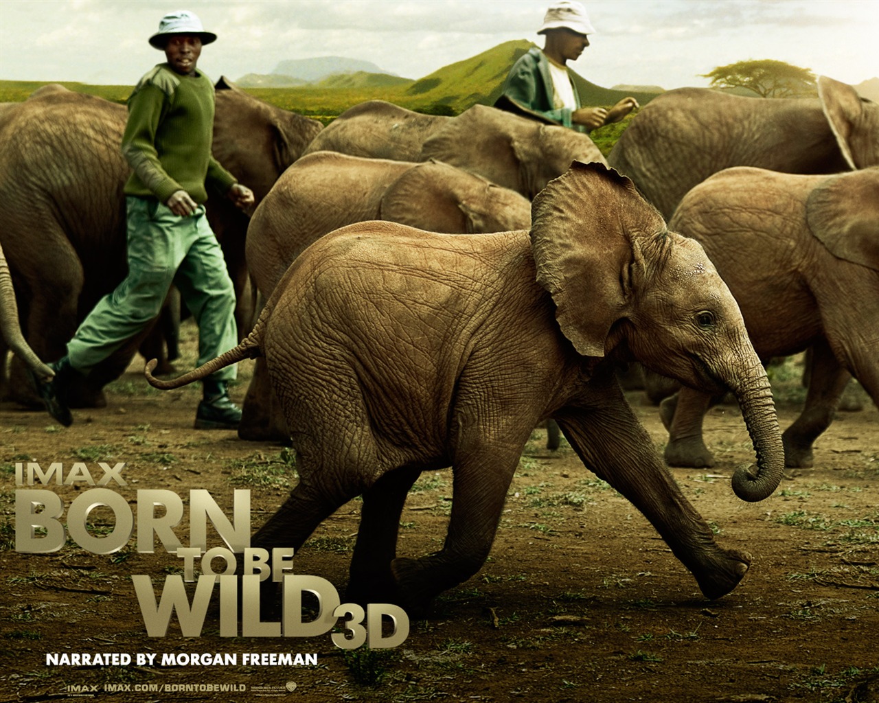 Born To Be Wild fonds d'écran #4 - 1280x1024