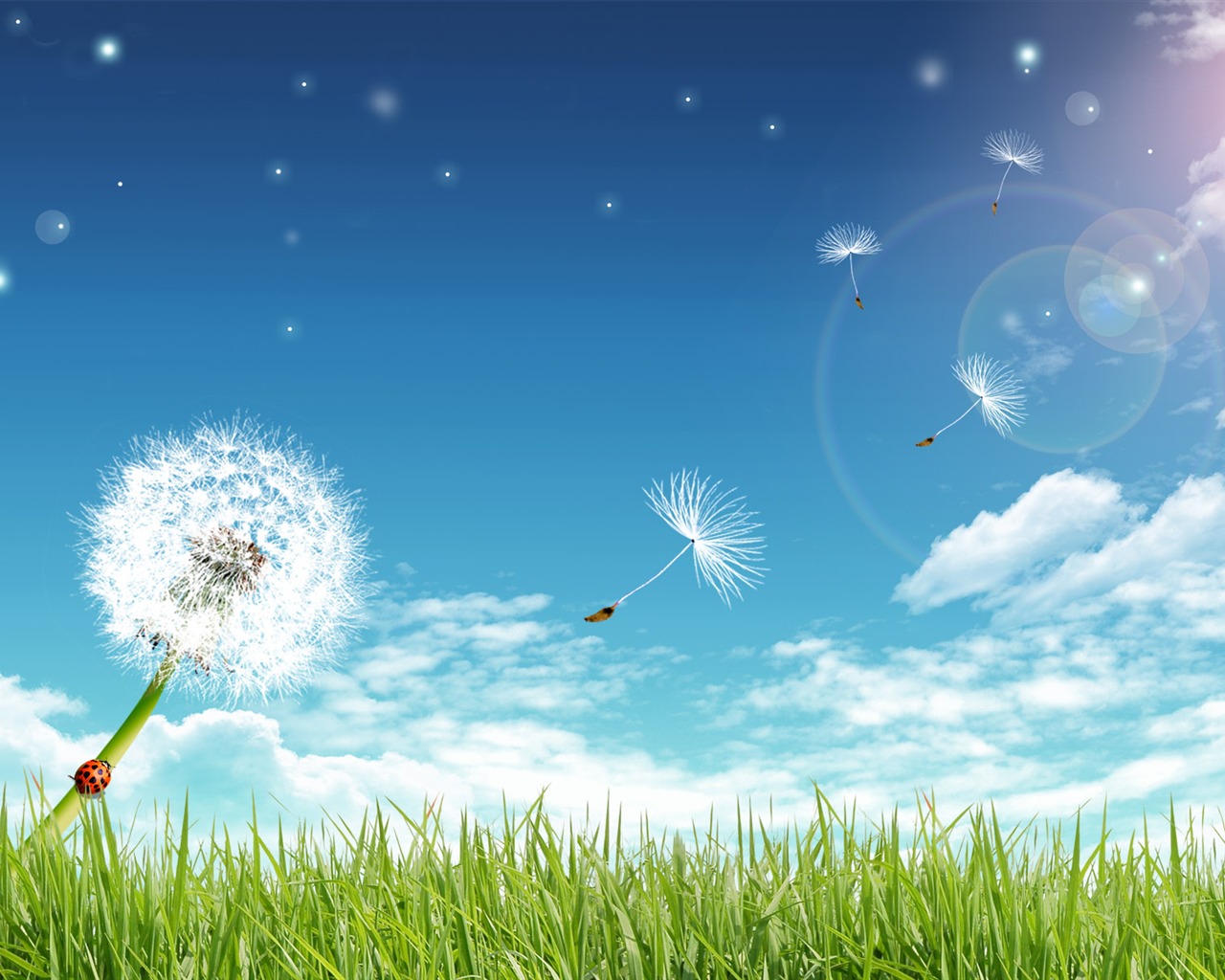 Photoshop sunny summer landscape wallpaper (1) #13 - 1280x1024
