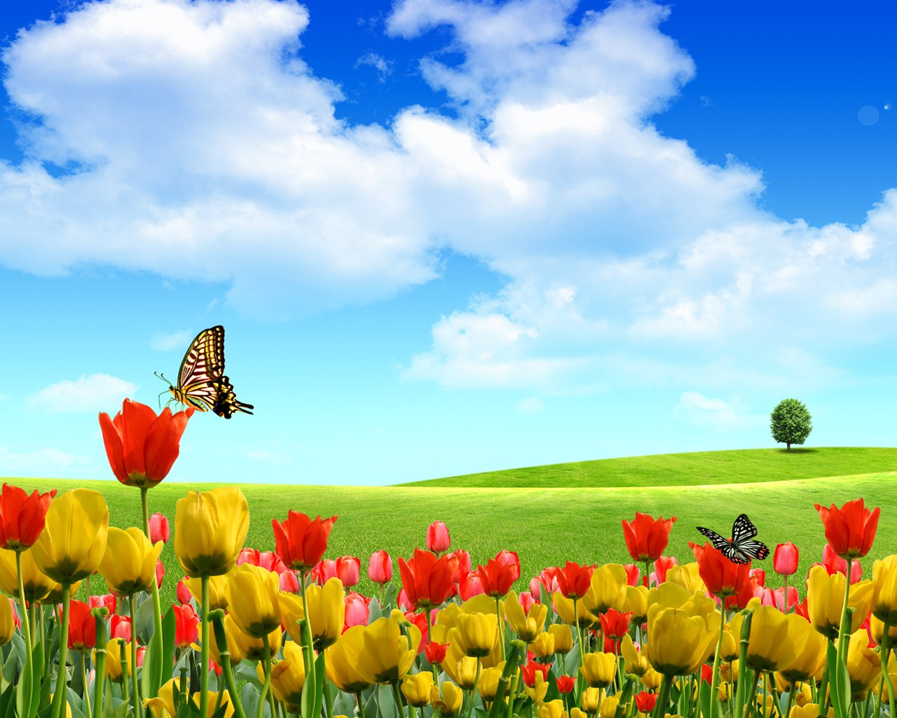 Photoshop sonnigen Sommertag Landschaft Wallpaper (1) #19 - 1280x1024