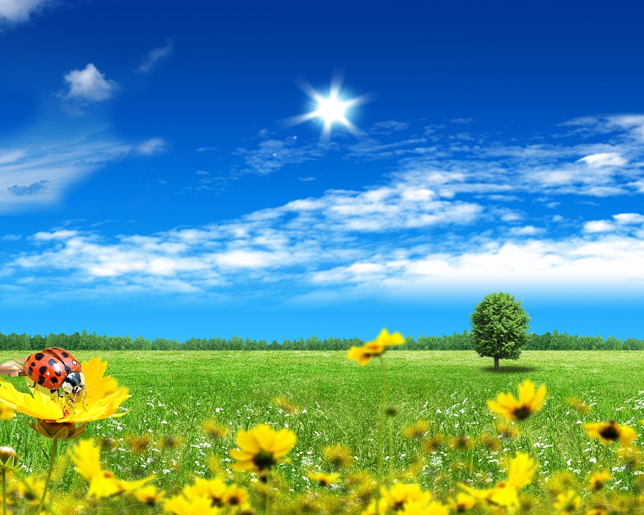 Photoshop sonnigen Sommertag Landschaft Wallpaper (2) #8 - 1280x1024