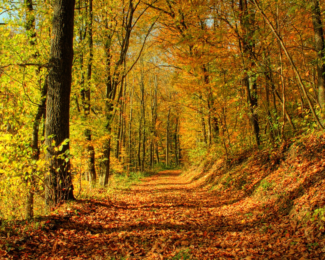 Nový Zéland Příroda tapety (1) #5 - 1280x1024