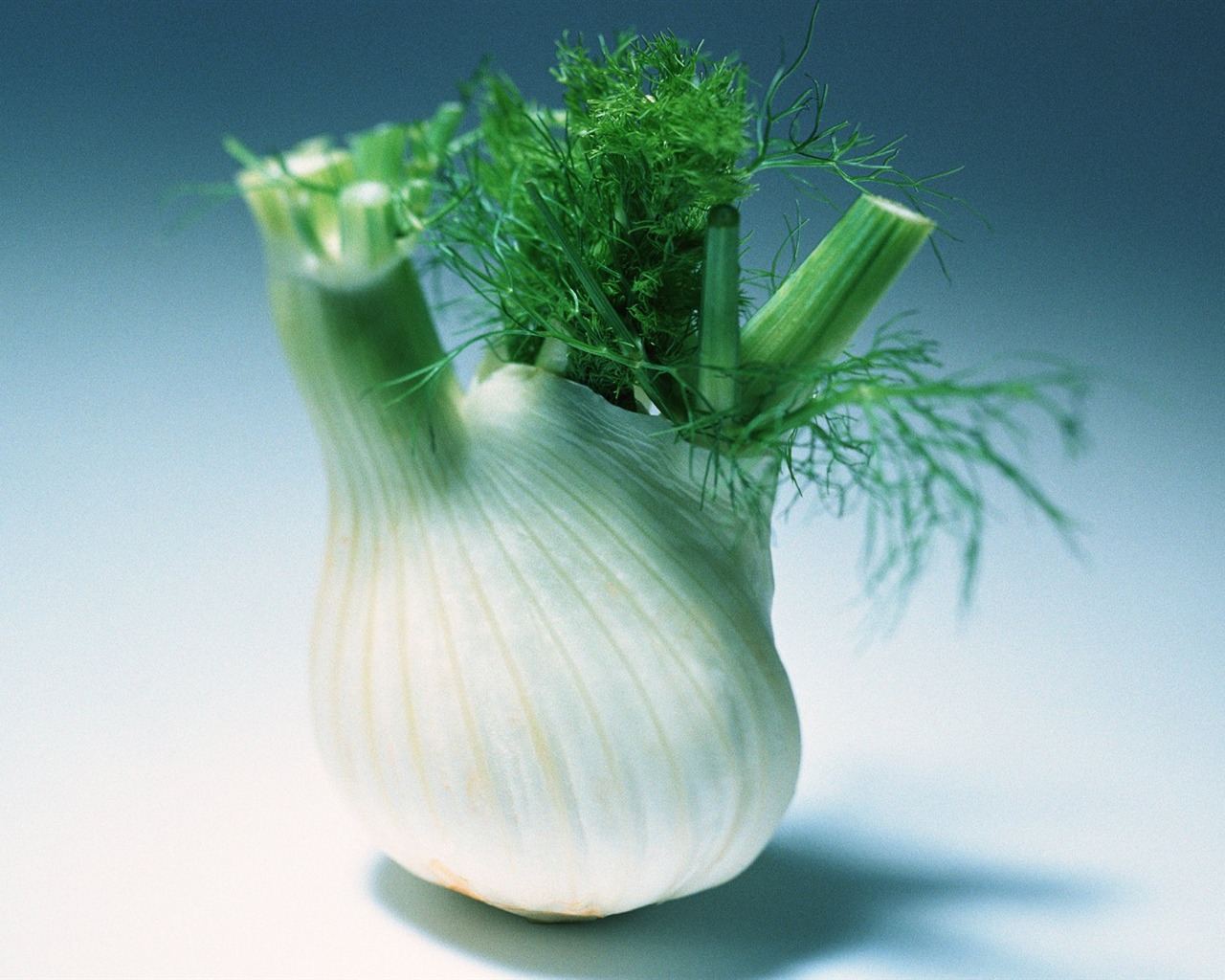 Fond d'écran vert des légumes sains #13 - 1280x1024
