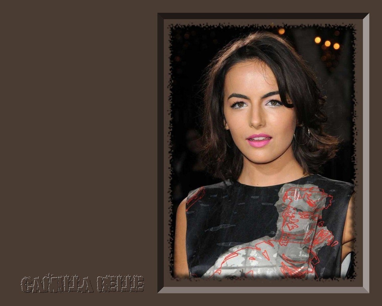 Camilla Belle krásnou tapetu #9 - 1280x1024