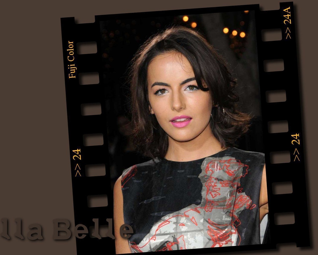 Camilla Belle krásnou tapetu #10 - 1280x1024