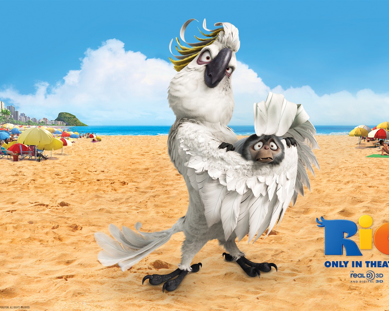 Rio 2011 里約大冒險 壁紙專輯 #12 - 1280x1024