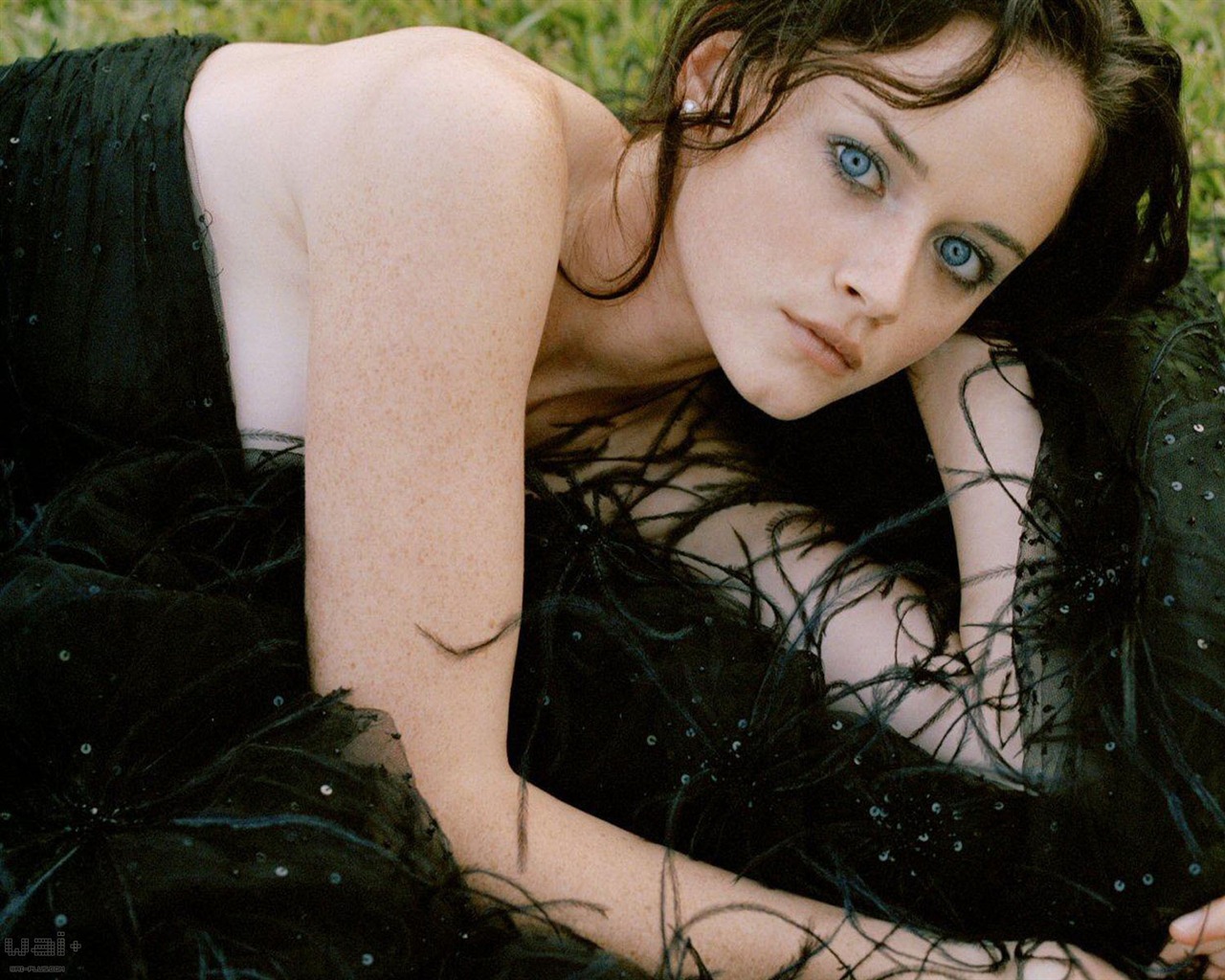 Alexis Bledel tapety krásná #11 - 1280x1024