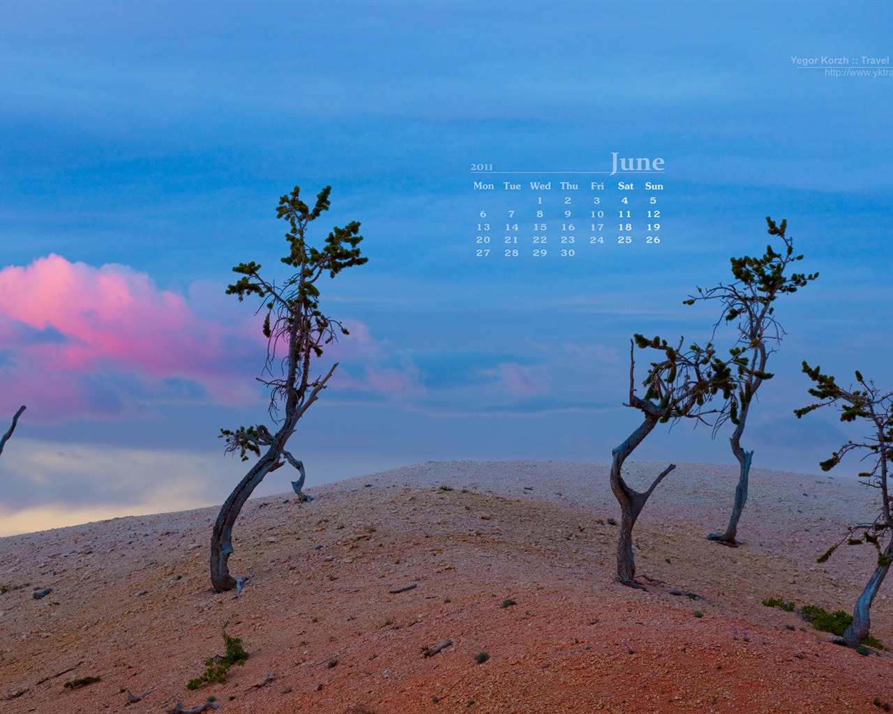 Juni 2011 Kalender Wallpaper (1) #4 - 1280x1024