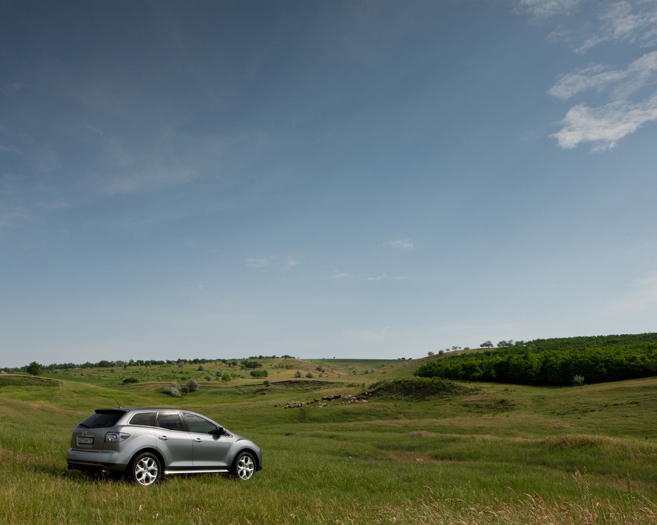 Mazda CX-7 - 2010 馬自達 #40 - 1280x1024