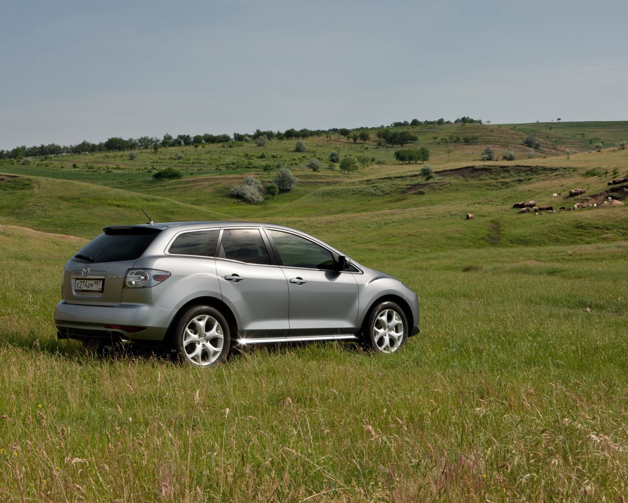 Mazda CX-7 - 2010 馬自達 #41 - 1280x1024