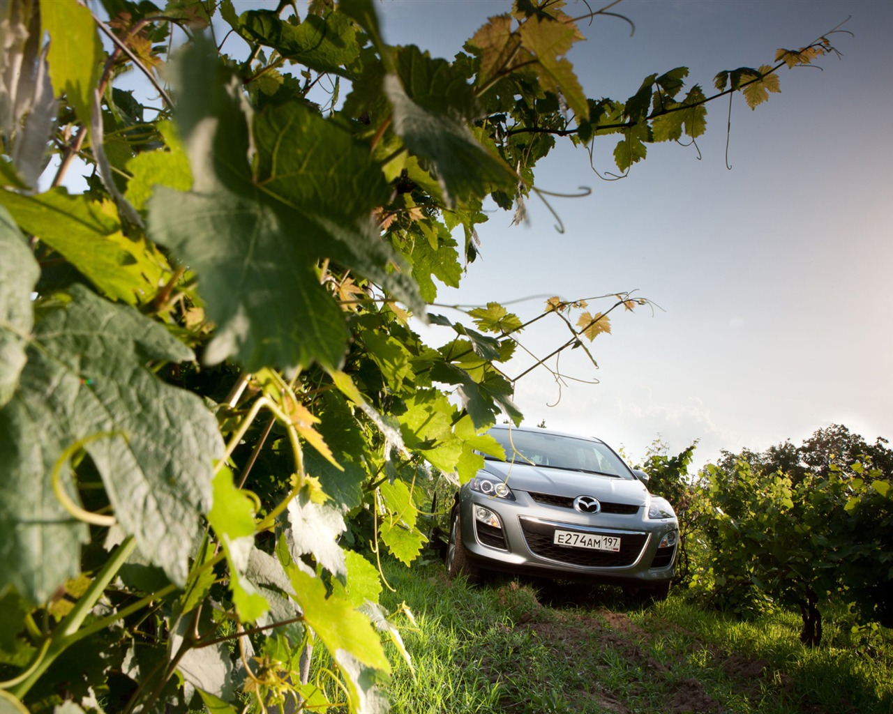 Mazda CX-7 - 2010 馬自達 #47 - 1280x1024