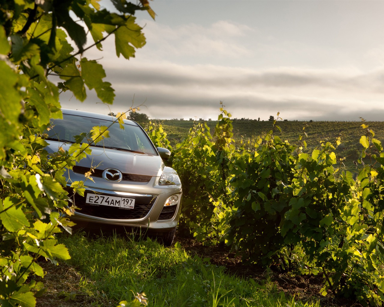 Mazda CX-7 - 2010 馬自達 #48 - 1280x1024