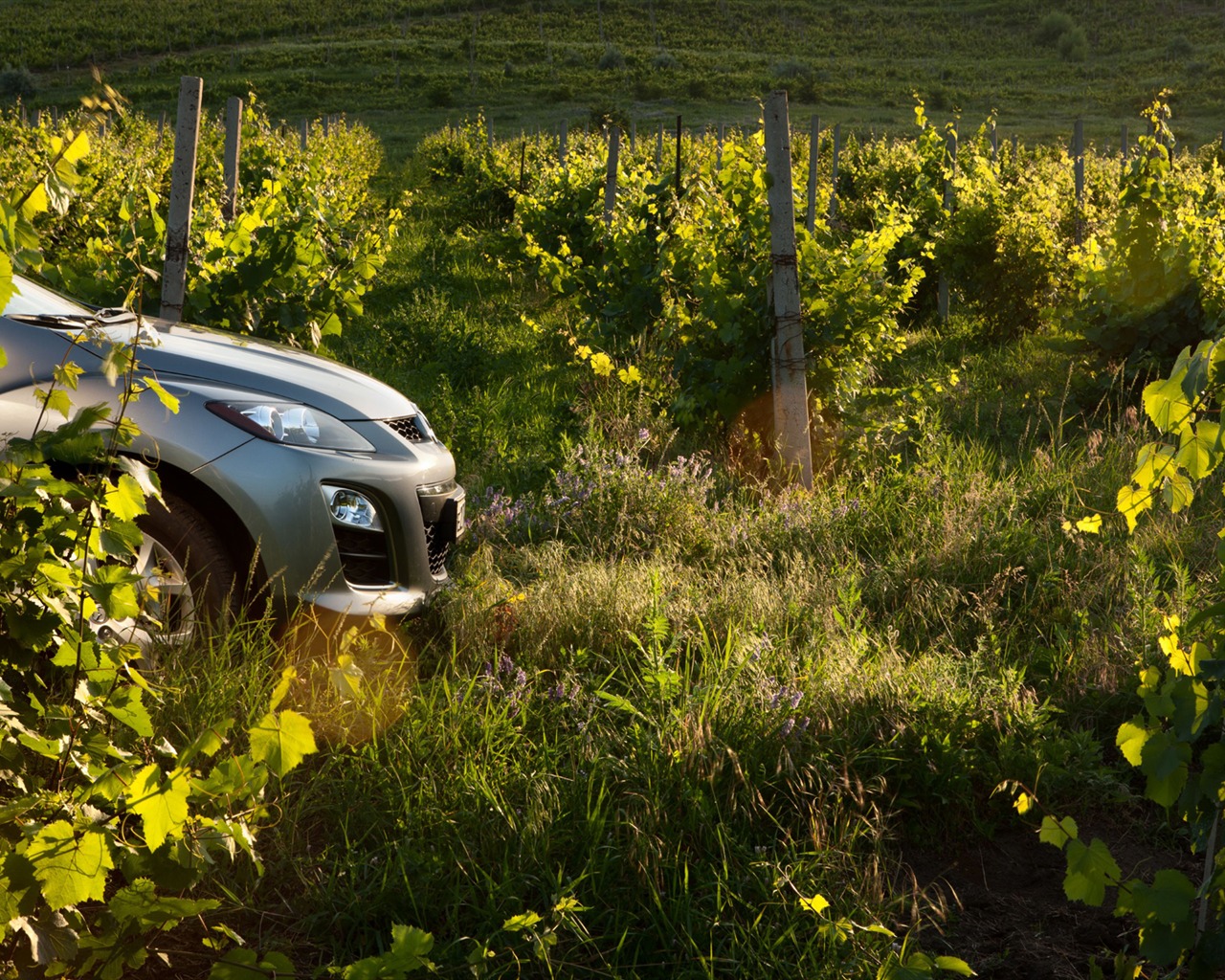 Mazda CX-7 - 2010 馬自達 #51 - 1280x1024