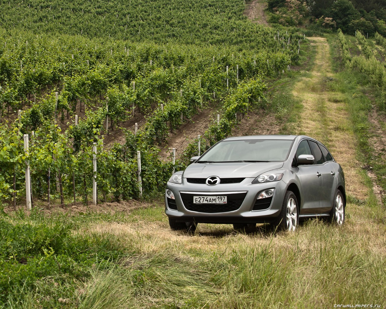 Mazda CX-7 - 2010 馬自達 #53 - 1280x1024