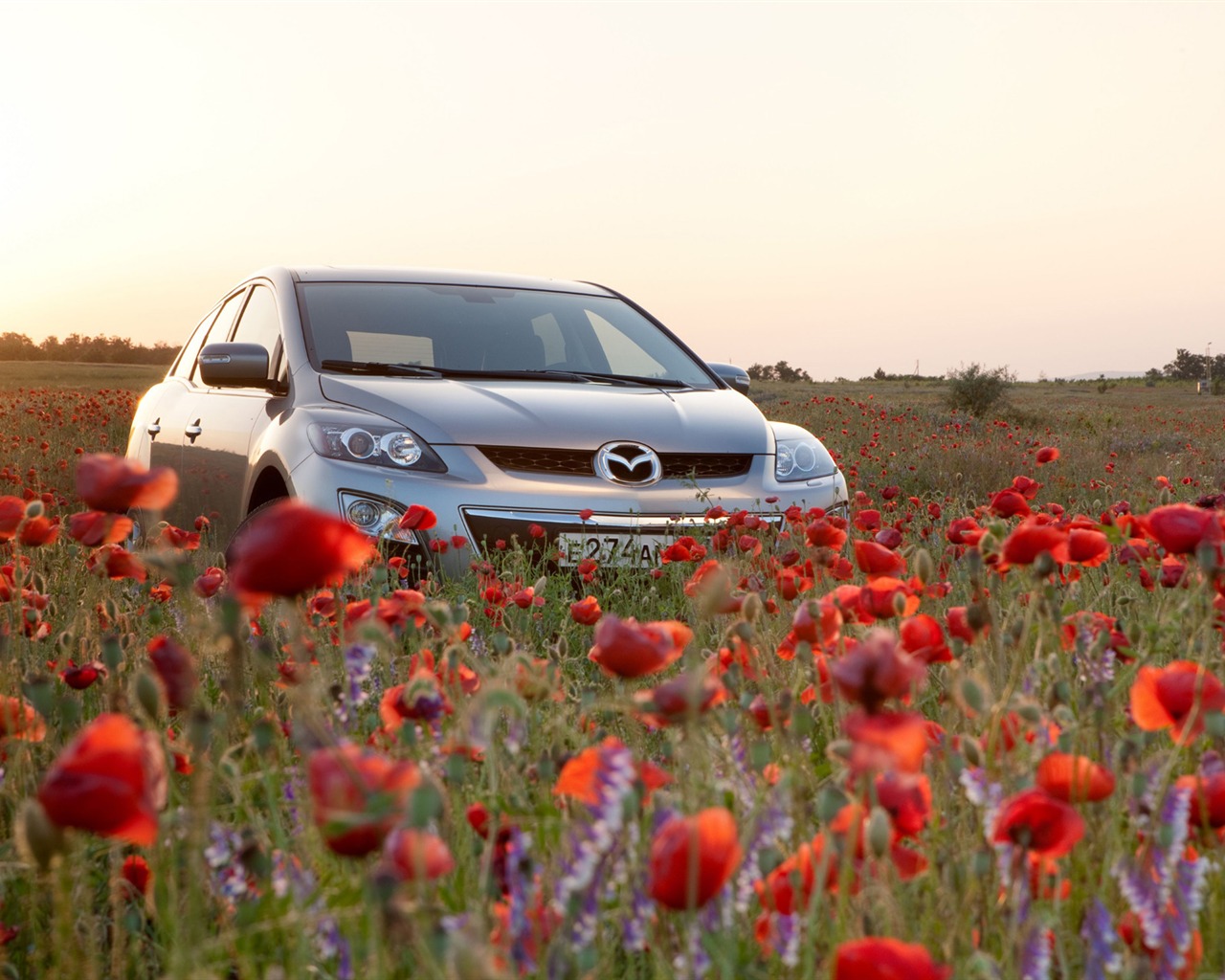 Mazda CX-7 - 2010 馬自達 #55 - 1280x1024