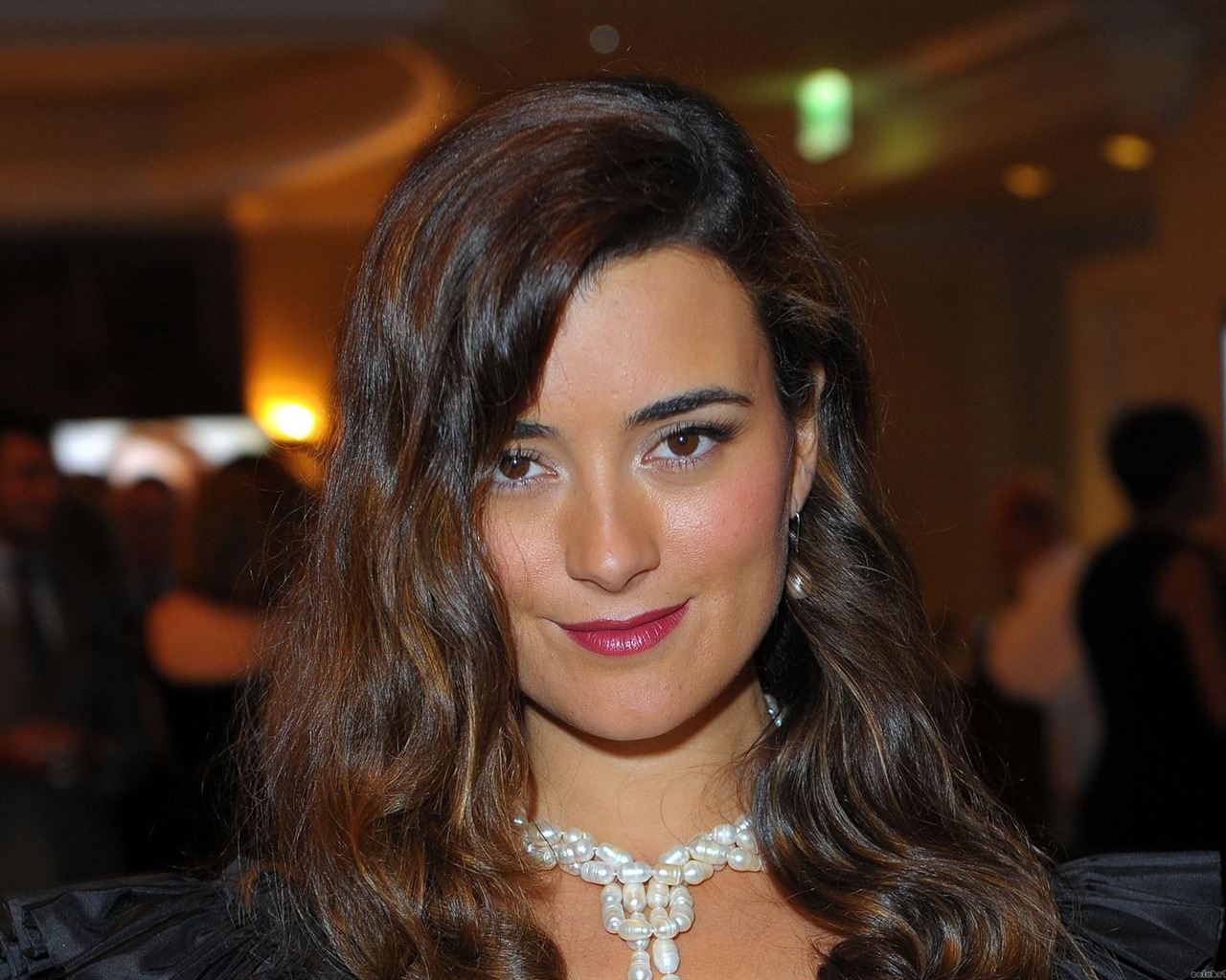 Cote de Pablo krásnou tapetu #9 - 1280x1024