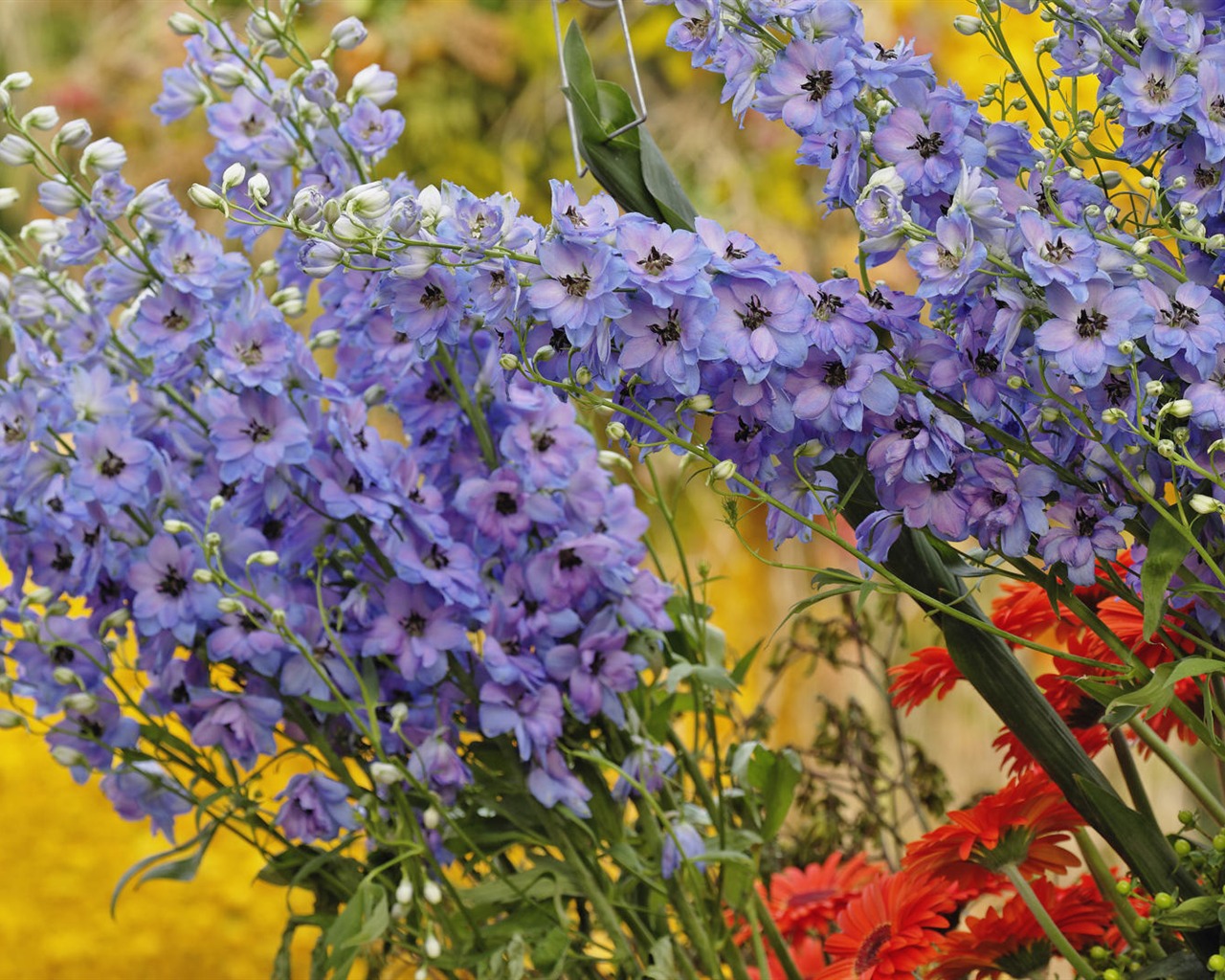 fleurs fond d'écran Widescreen close-up (32) #4 - 1280x1024