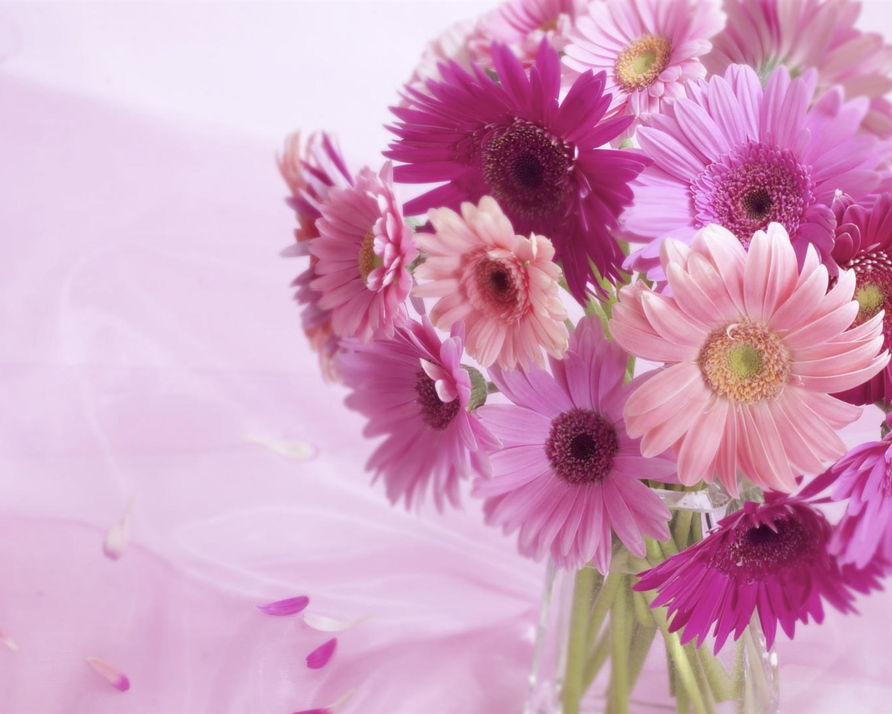 Širokoúhlý tapety květiny close-up (33) #3 - 1280x1024