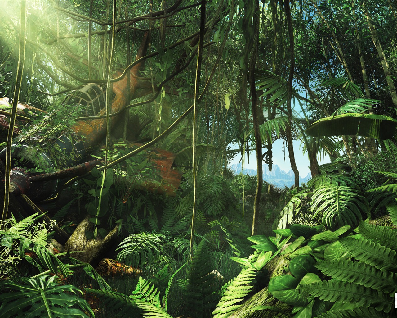 Far Cry 3 HD tapety na plochu #3 - 1280x1024