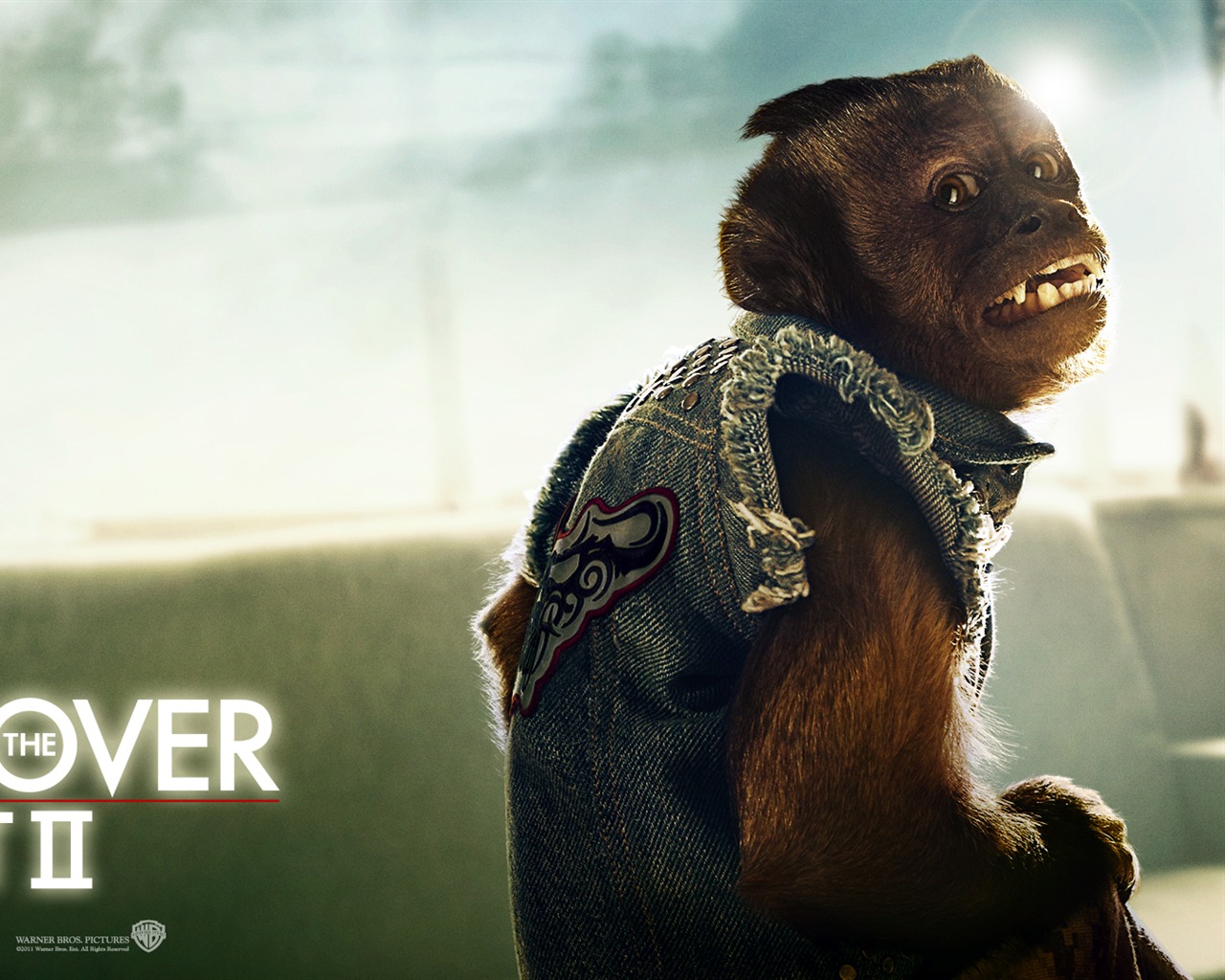 The Hangover Part II 宿醉2 壁紙專輯 #7 - 1280x1024