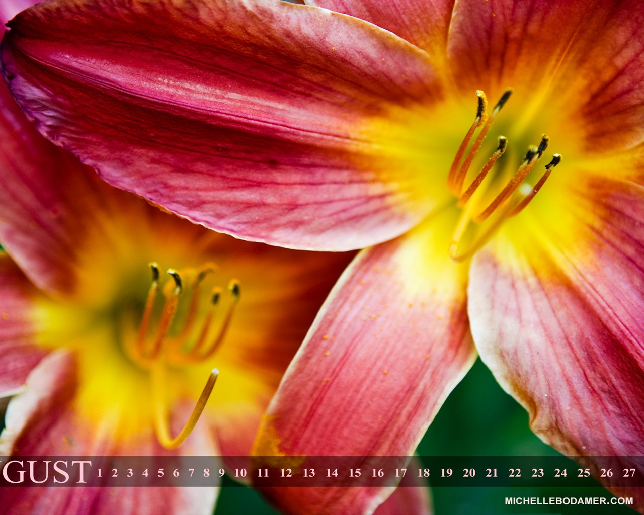 2011年8月 月曆壁紙(一) #1 - 1280x1024
