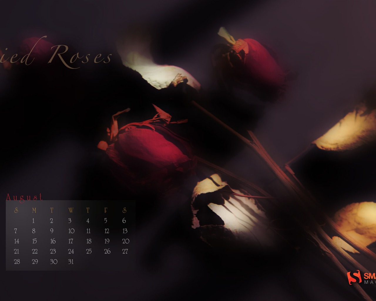 August 2011 calendar wallpaper (1) #14 - 1280x1024