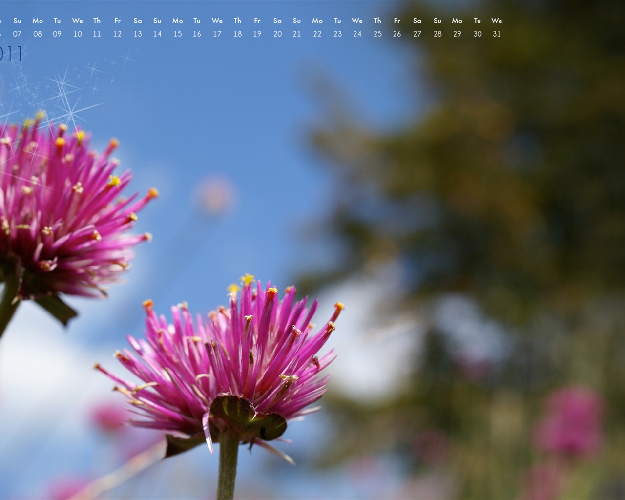 August 2011 calendar wallpaper (2) #7 - 1280x1024