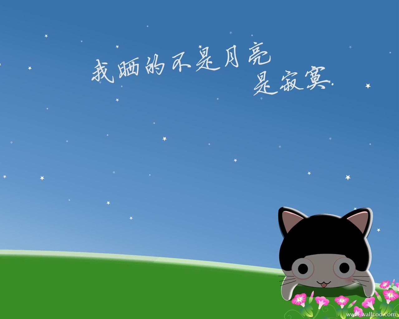 貓咪寶貝 卡通壁紙(三) #17 - 1280x1024