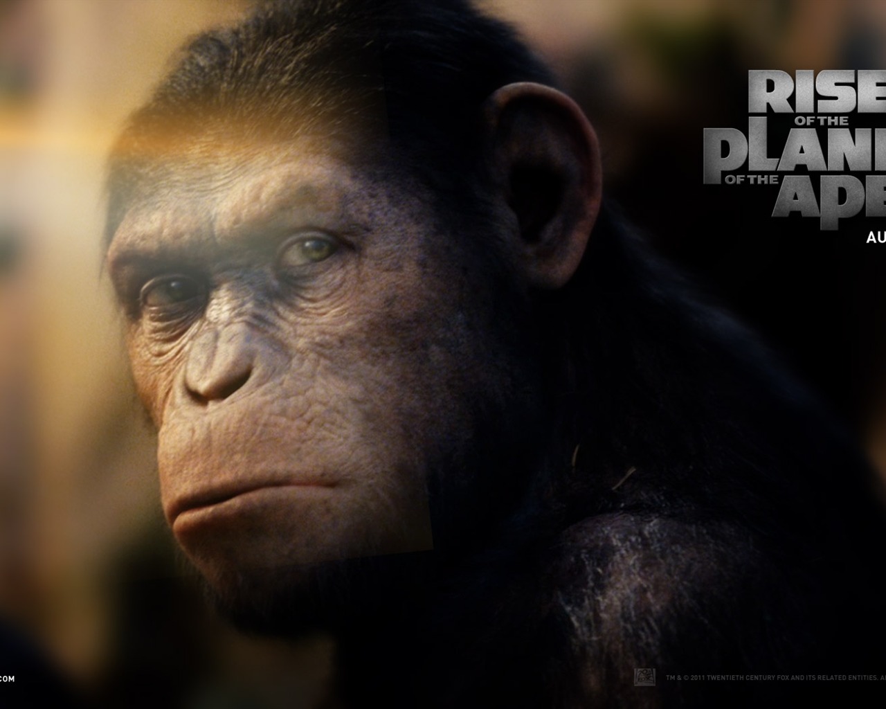 Rise of the Planet of the Apes 猿族崛起壁紙專輯 #2 - 1280x1024