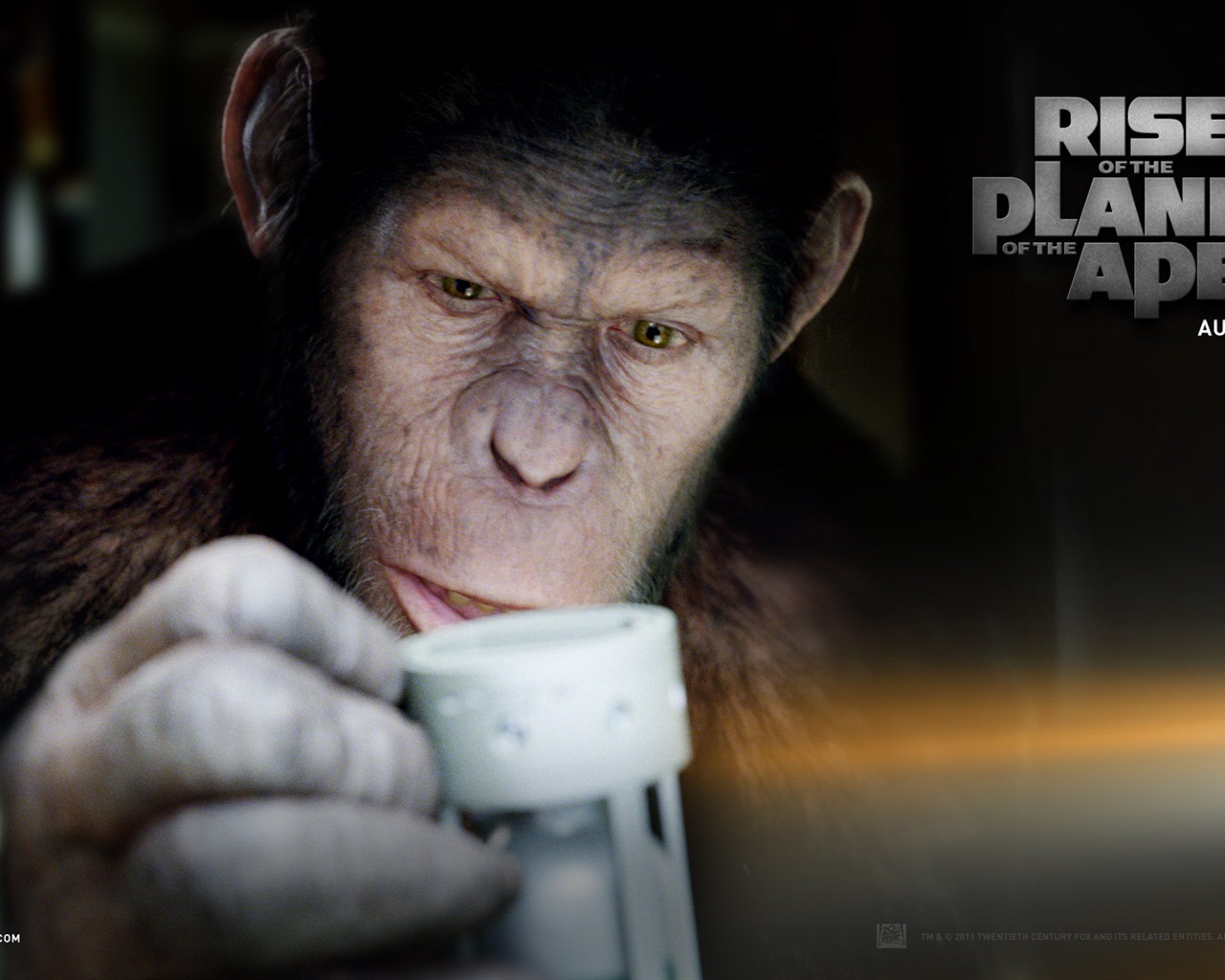 Rise of the Planet of the Apes wallpapers #3 - 1280x1024