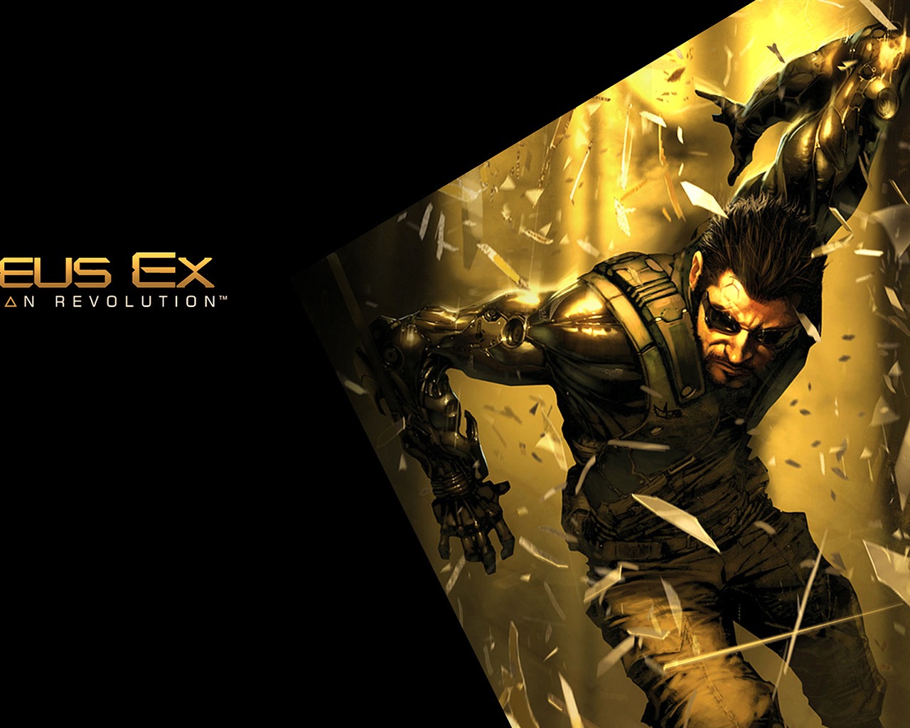 Deus Ex: Human Revolution HD Wallpaper #13 - 1280x1024