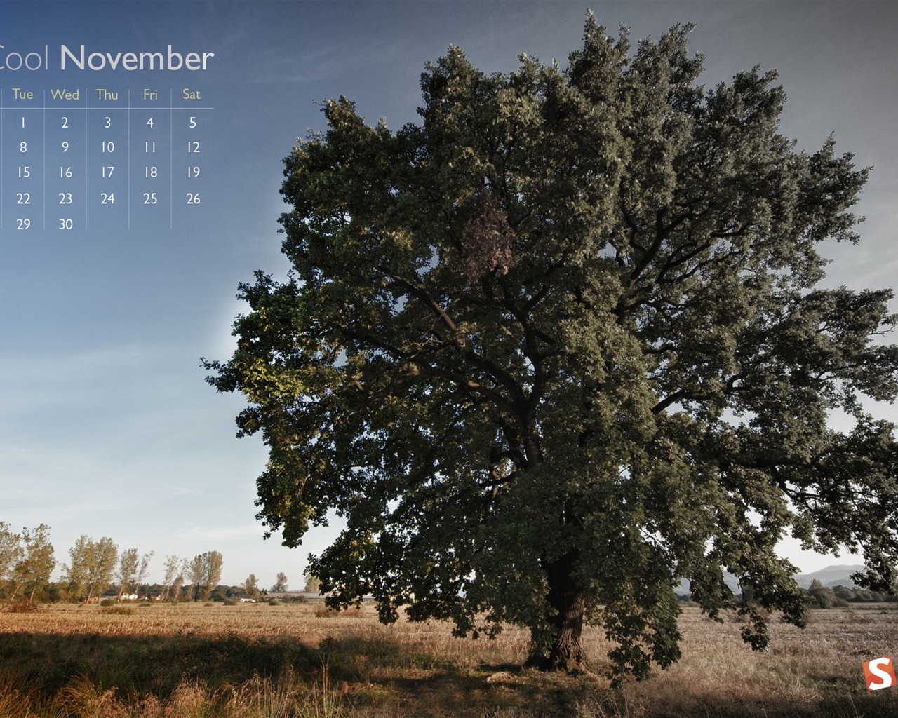 Novembre 2011 Calendar Wallpaper (1) #10 - 1280x1024