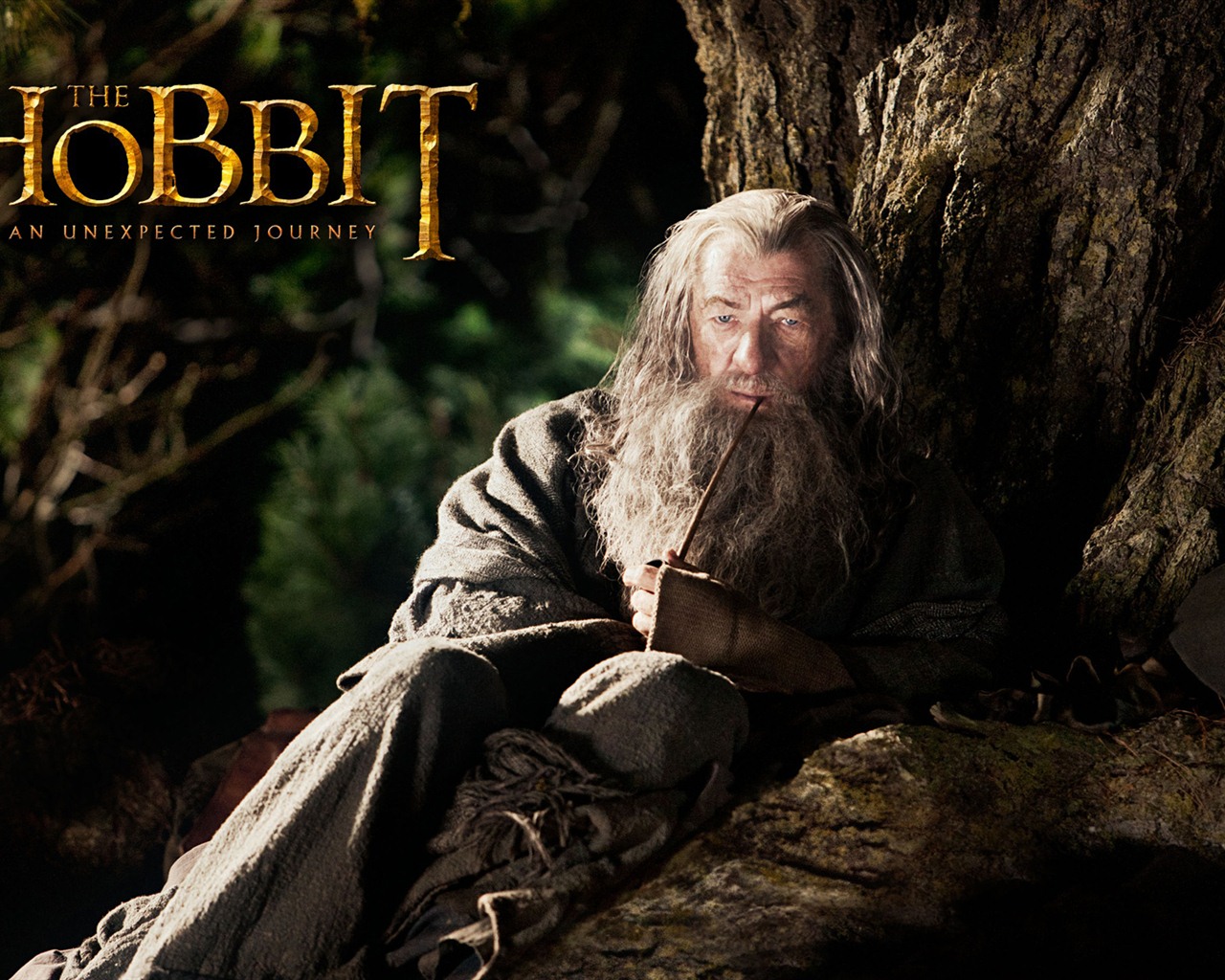 The Hobbit: An Unexpected Journey 霍比特人：意外旅程 #10 - 1280x1024
