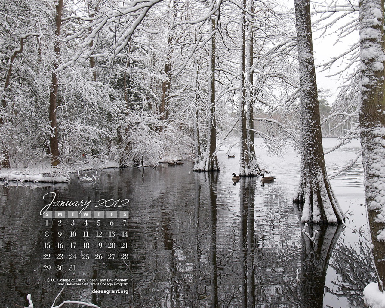 2012年1月 月曆壁紙 #2 - 1280x1024