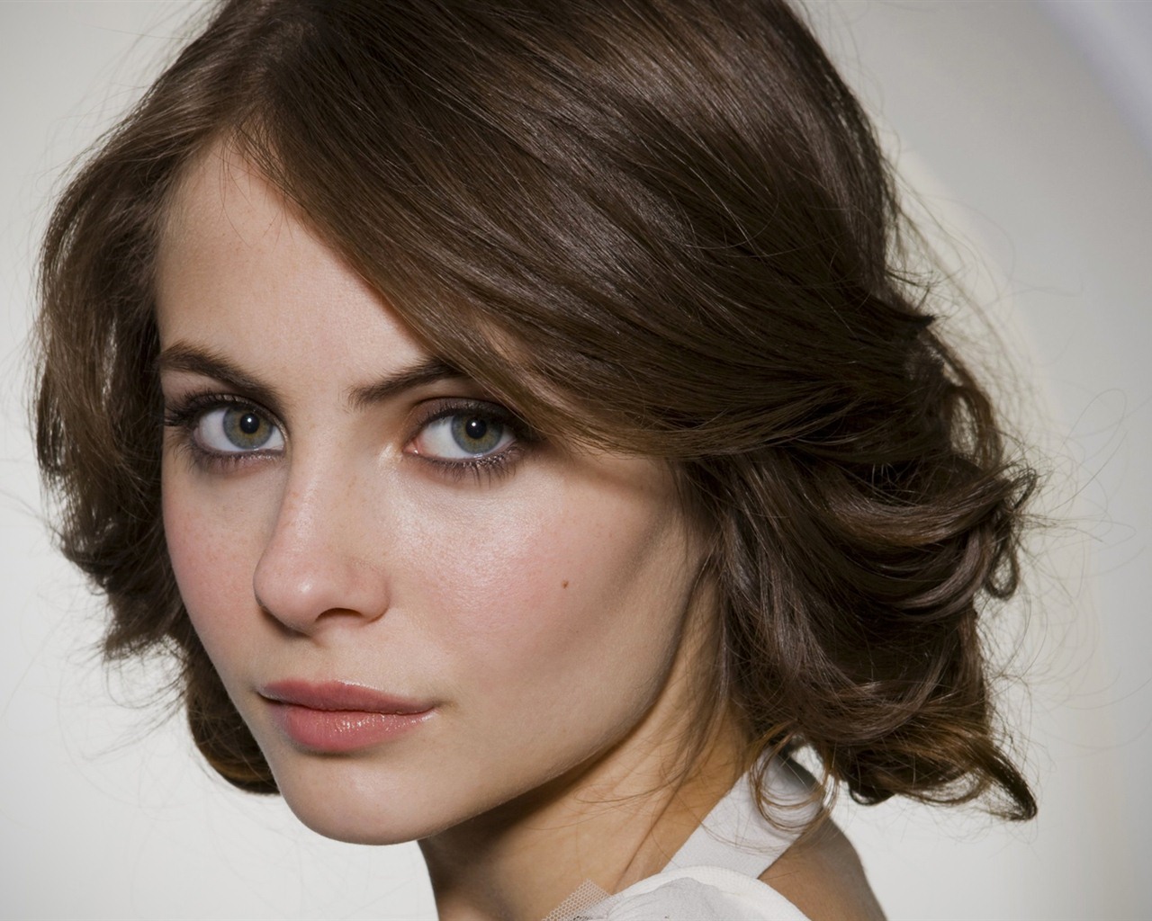 Willa Holland krásnou tapetu #6 - 1280x1024