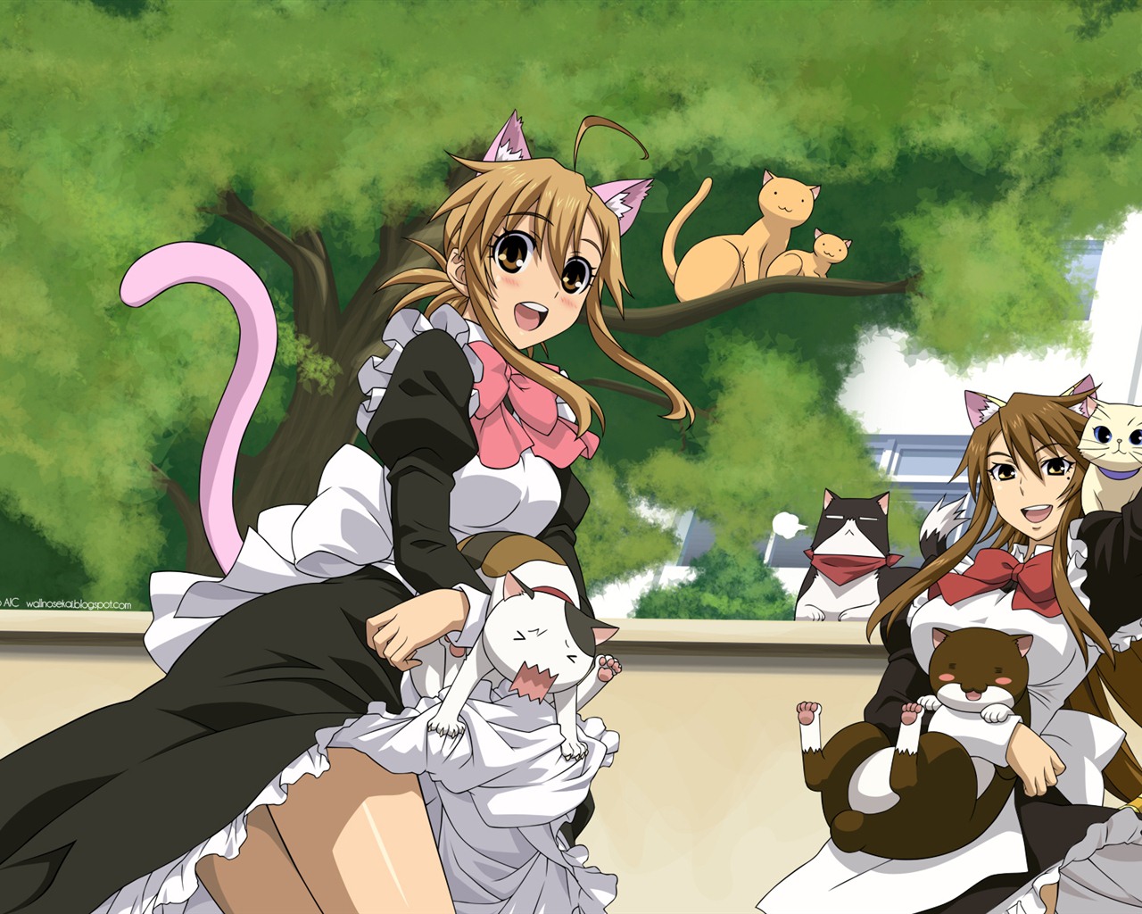 Nyan Koi! HD tapety na plochu #2 - 1280x1024