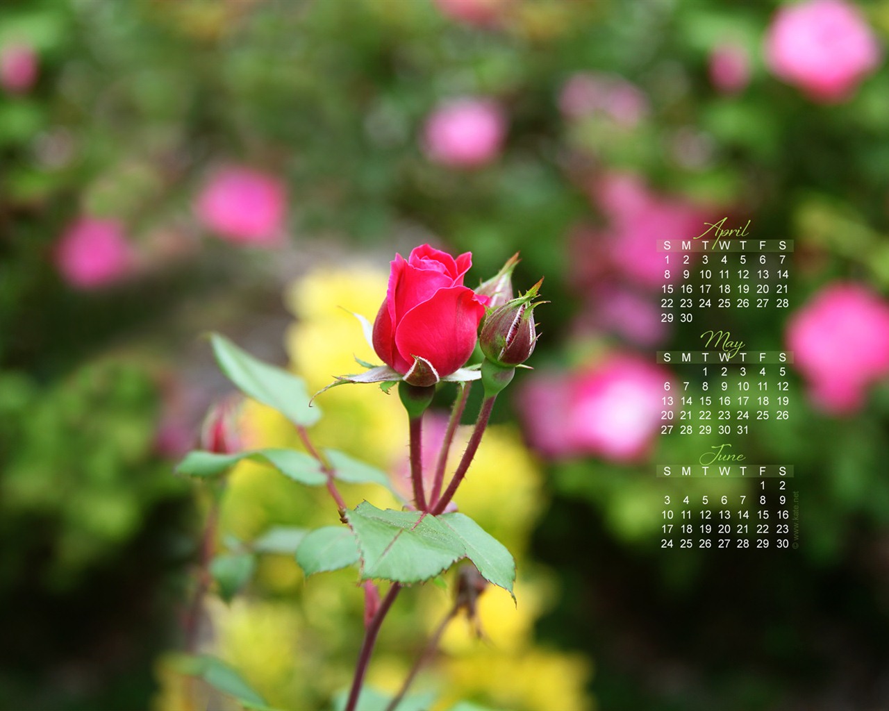 2012年5月 月曆壁紙(一) #12 - 1280x1024