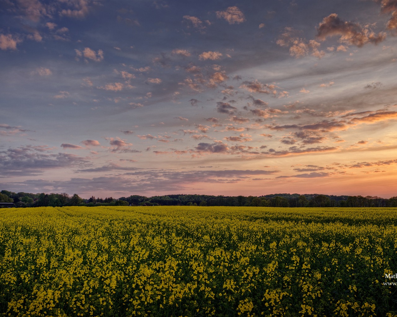 Windows 7 Wallpapers: Impressions from Schleswig-Holstein theme #13 - 1280x1024