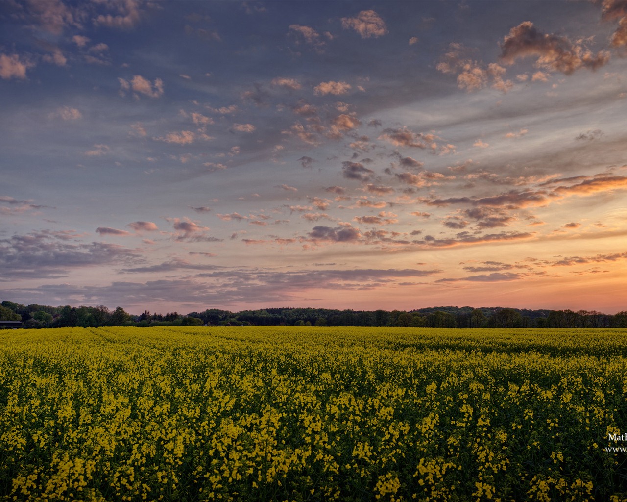 Fondos de pantalla de Windows 7: Impresiones de Schleswig-Holstein tema #13 - 1280x1024