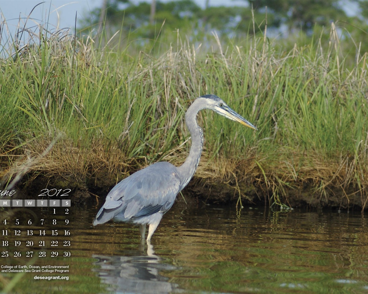 2012年6月 月曆壁紙(一) #10 - 1280x1024
