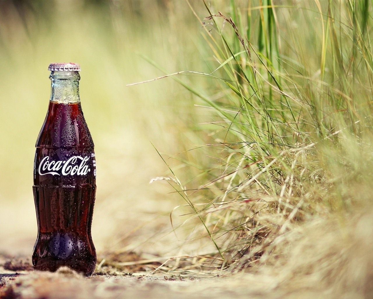 Coca-Cola 可口可樂精美廣告壁紙 #23 - 1280x1024